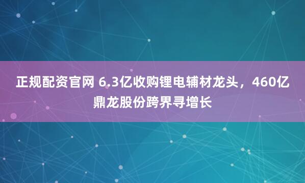 正规配资官网 6.3亿收购锂电辅材龙头，460亿鼎龙股份跨界寻增长